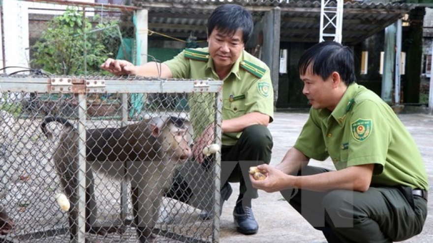 Vietnamese, Lao localities enhance cooperation in forest, wildlife protection