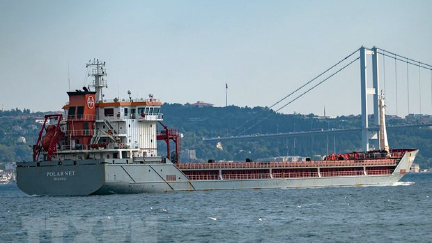 Sáng kiến xuất khẩu ngũ cốc qua Biển Đen trước nguy cơ đổ vỡ