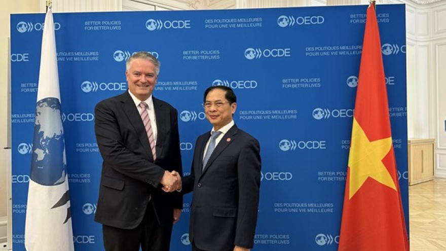 Vietnamese FM meets with OECD Secretary-General in Paris