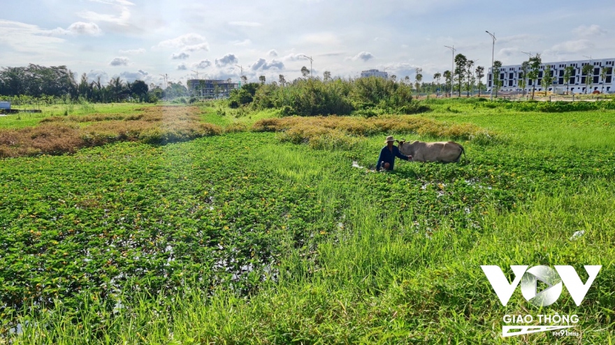 Hậu thu hồi đất, người dân phải được đảm bảo cuộc sống tốt hơn hoặc bằng nơi ở cũ