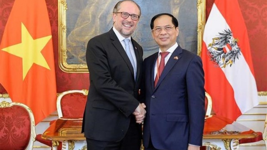 Foreign minister meets Austrian counterpart