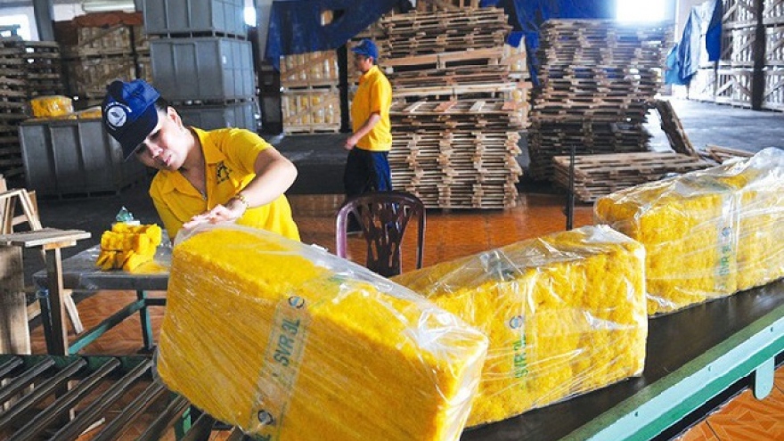 Rubber exports shrink during first half of 2023