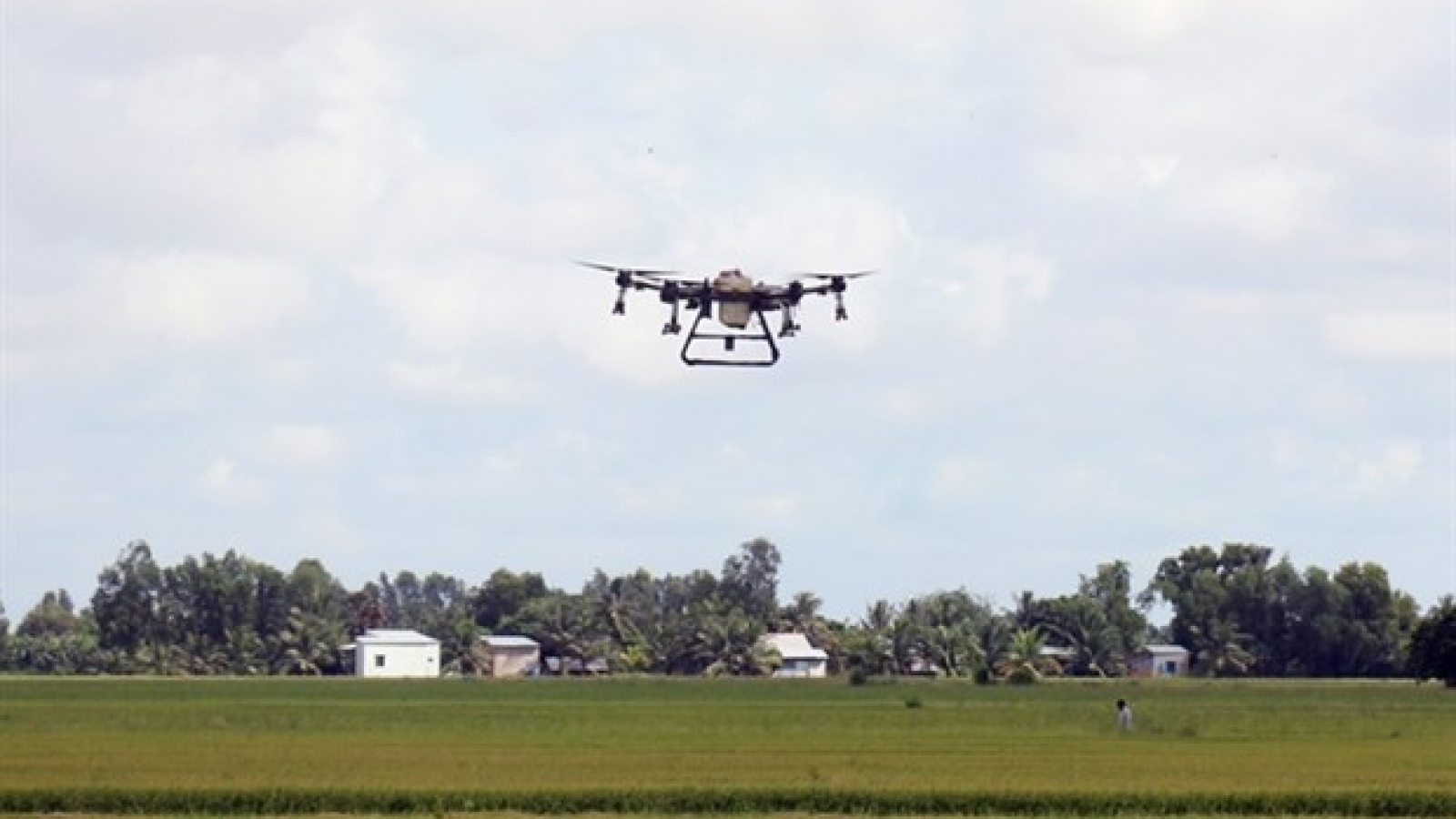 Hanoi moves toward hi-tech agricultural production