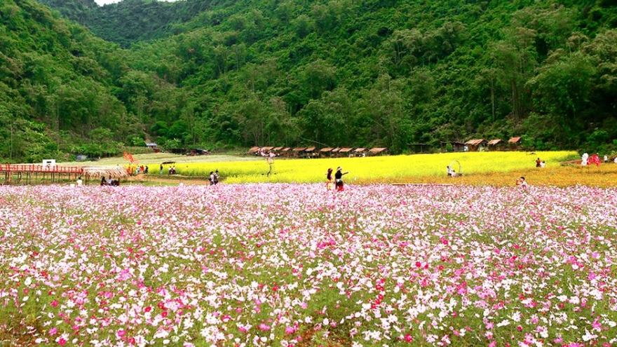 Autumn Festival set to enliven Bac Ha mountains