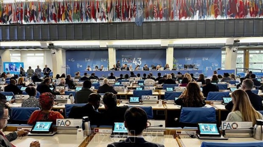 Vietnam represented at 43rd Session of Ministerial-level FAO Conference