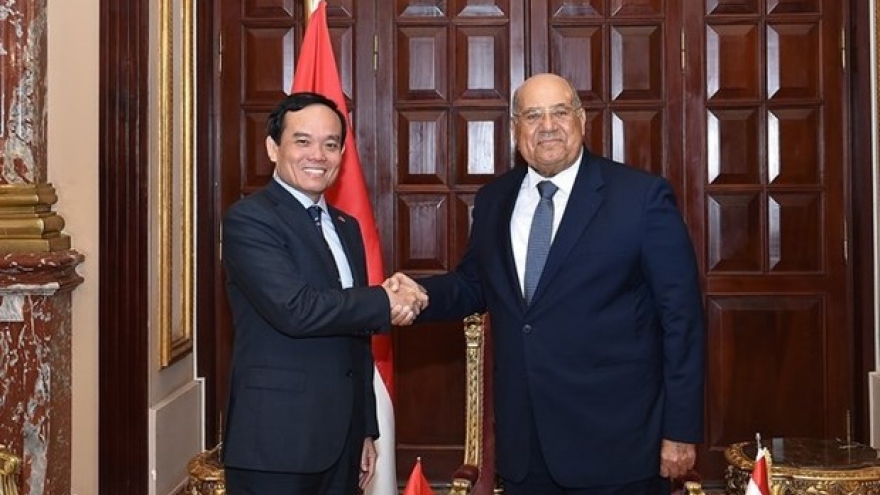 Deputy PM meets with top Egyptian legislators