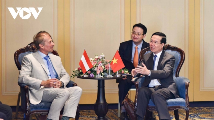 Vietnamese President receives Austria - Vietnam Friendship Association leader