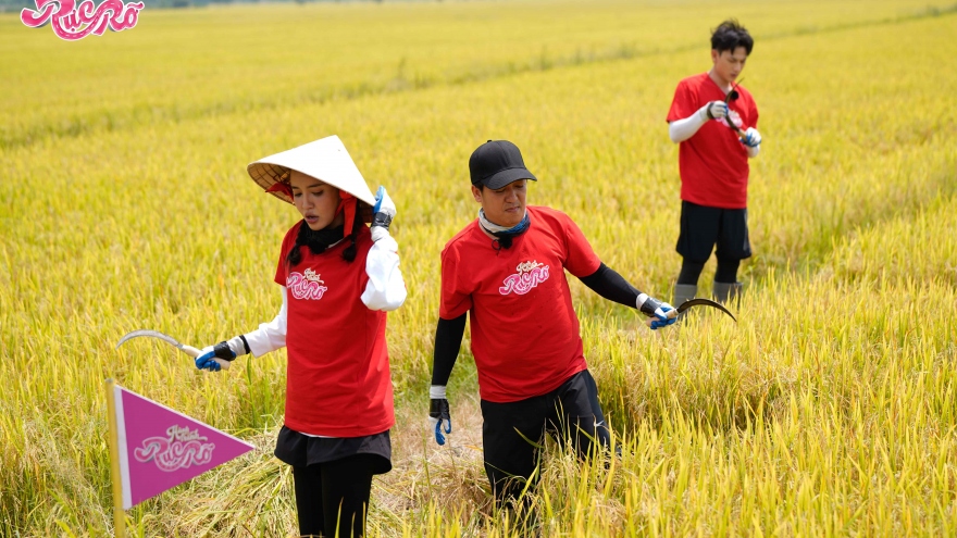 Ca sĩ Bích Phương ấm ức phân trần khi bị Trường Giang mắng