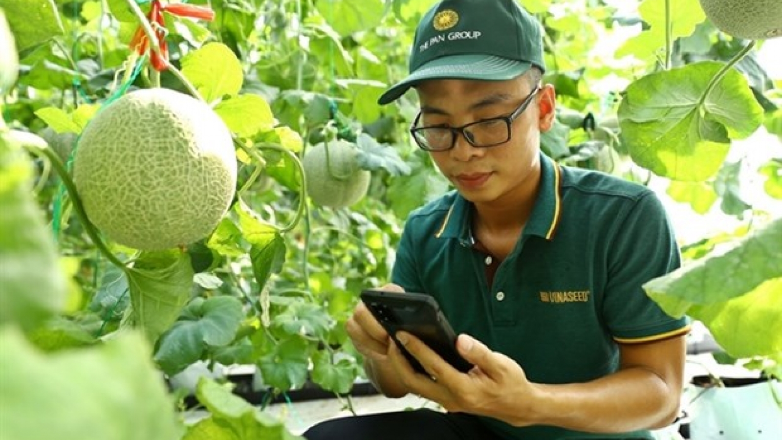 Vietnam must train people in agriculture to improve productivity