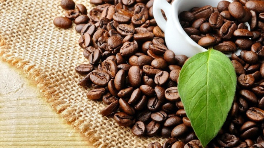Giá cà phê hôm nay 31/7: Trong nước giảm cao nhất còn 66.300 đồng/kg