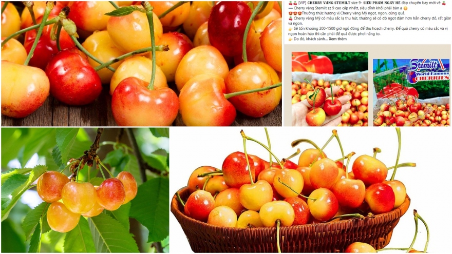 Cherry vàng gây sốt chợ mạng