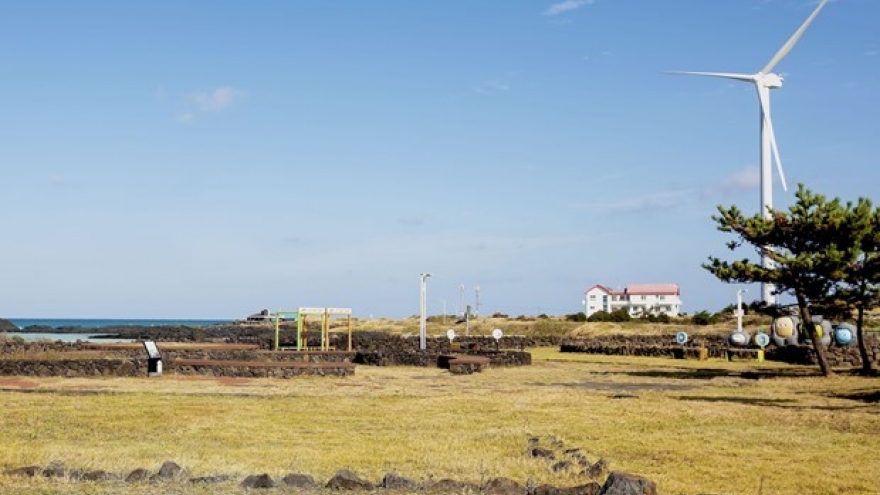 Nam Dinh’s first seasonal workers come to RoK’s Jeju island