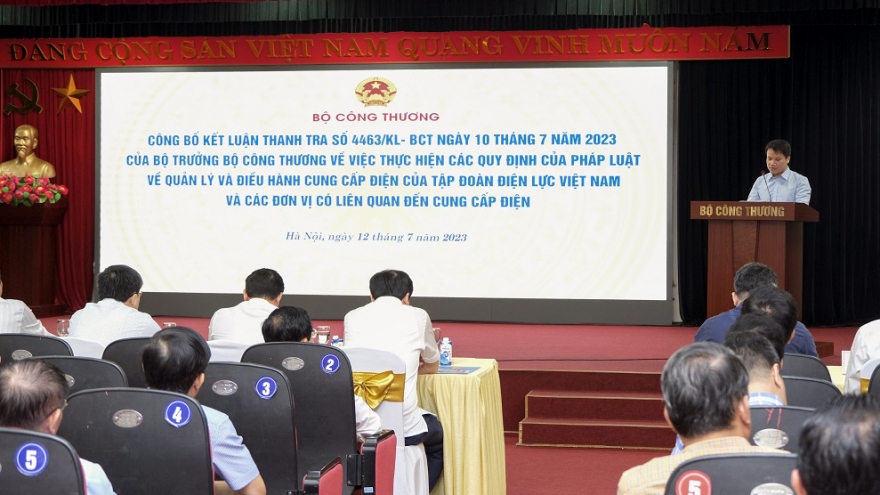 Thanh tra chuyên ngành EVN: Nhiều sai phạm trong chỉ đạo điều hành