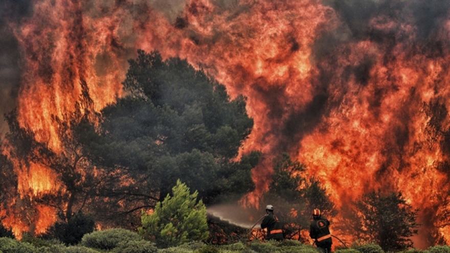 Diện tích cháy rừng ở Nga lên tới 1 triệu ha
