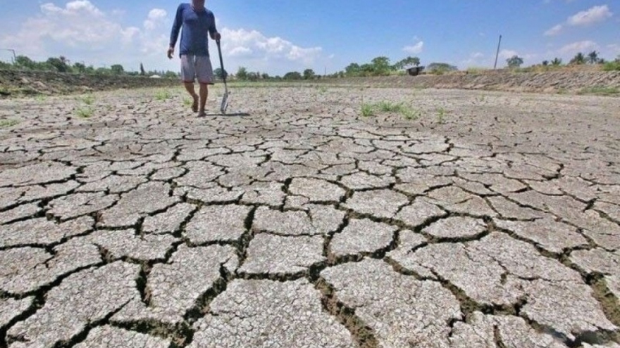 Đối phó El Nino, Indonesia thu mua dự trữ 750.000 tấn gạo