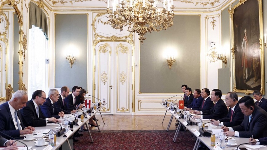 Chủ tịch nước Võ Văn Thưởng hội đàm với Tổng thống Áo