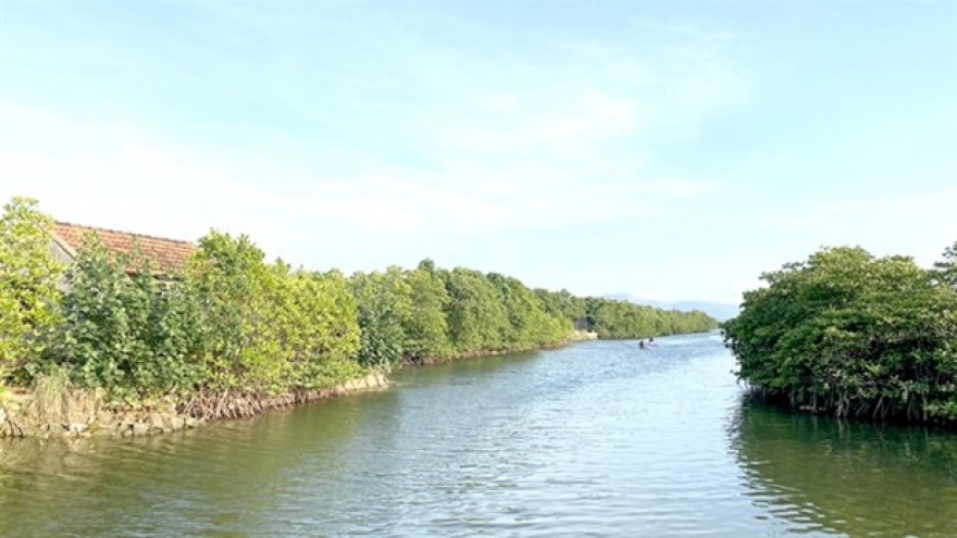 Vietnam considers domestic carbon credit exchange to enhance green transactions