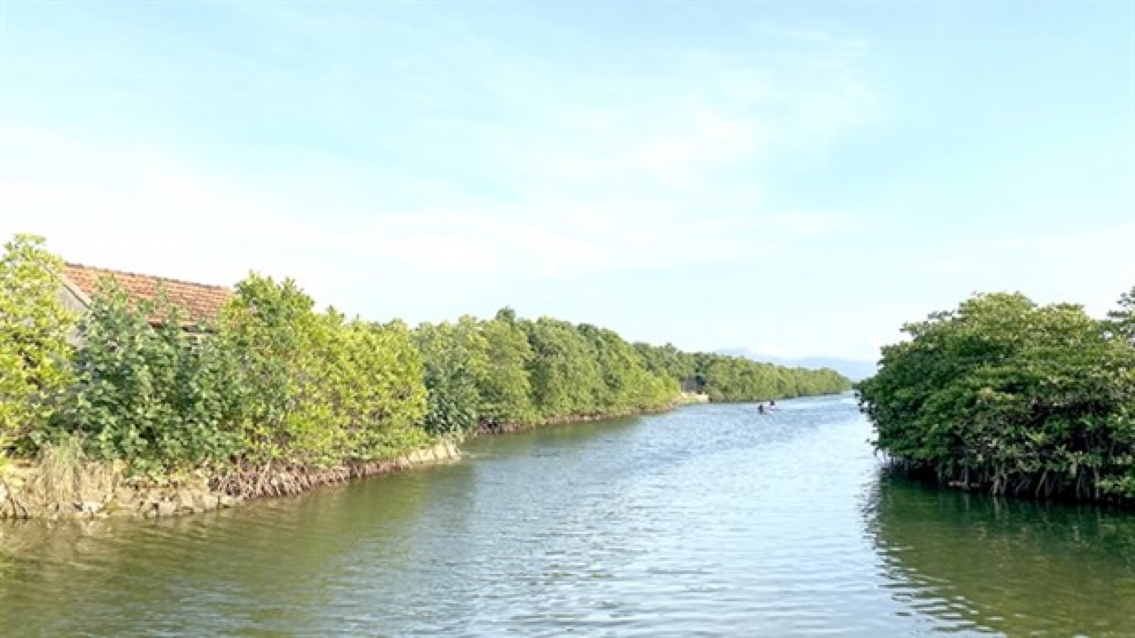 Vietnam considers domestic carbon credit exchange to enhance green transactions