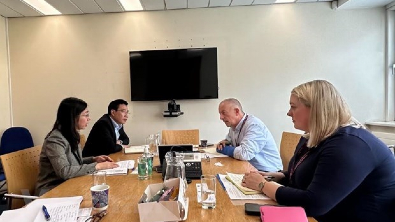 Vietnam, Ireland boost education, sci-tech cooperation