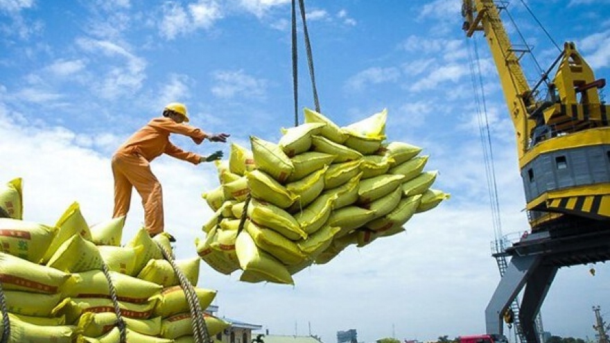 EU considered potential destination for Vietnamese rice