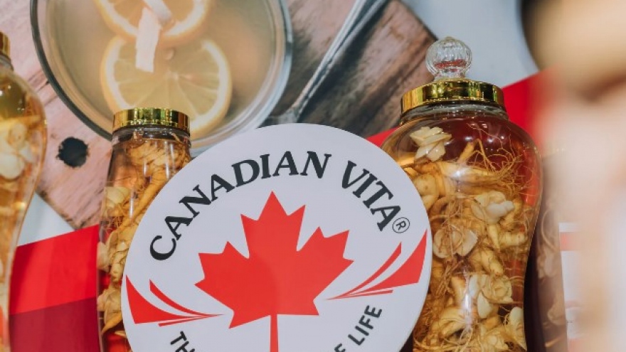 Vietnamese Canadian ginseng processing firm benefits from CPTPP