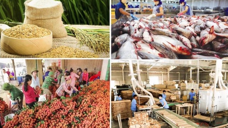 Agro-forestry-fishery exports hit nearly US$60 billion in eight months
