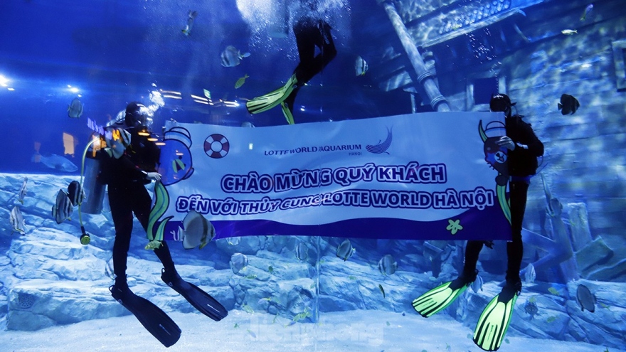 Largest indoor aquarium in Hanoi opens