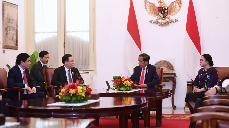 Chủ tịch Quốc hội Vương Đình Huệ hội kiến Tổng thống Indonesia Joko Widodo