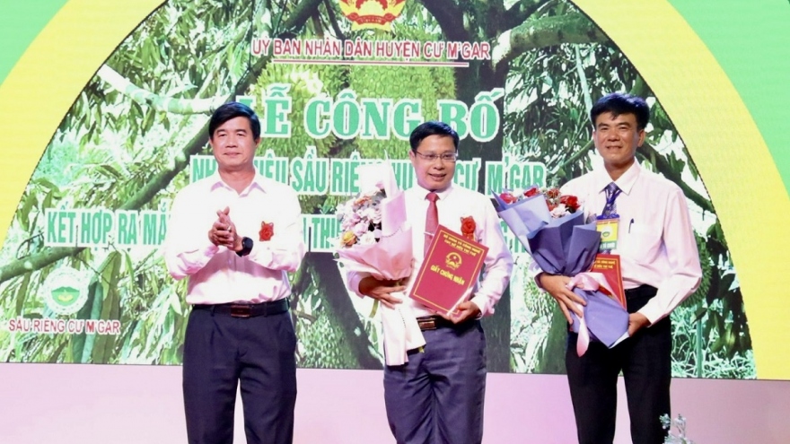 Đắk Lắk thêm 1 huyện được công nhận nhãn hiệu sầu riêng tập thể