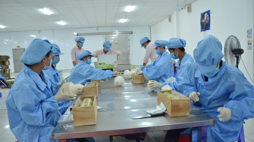 Doanh nghiệp Bến Tre tích cực chuyển đổi số