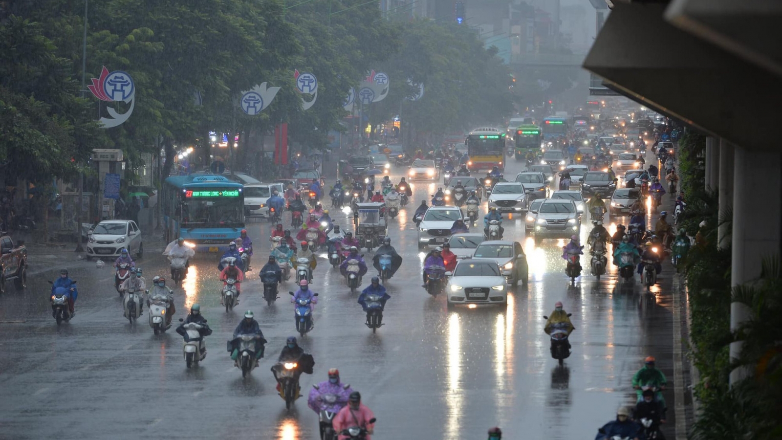 Thời tiết hôm nay 4/8: Mưa vừa và mưa to tiếp diễn ở nhiều nơi
