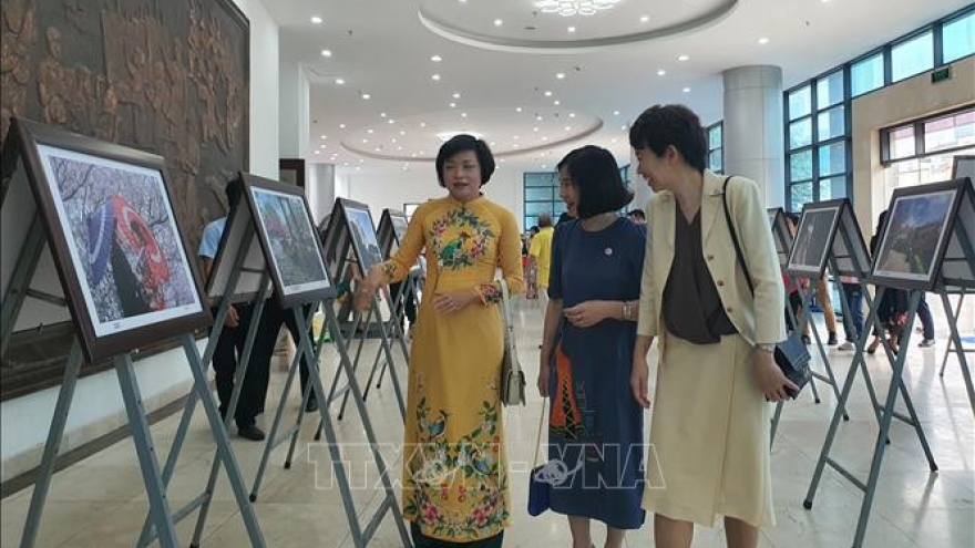 Vietnam-Japan festival 2023 opens in Hanoi