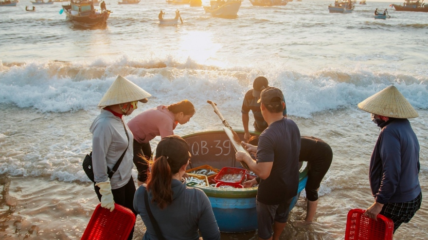 Ngư dân Quảng Bình làm giàu từ biển, tuân thủ quy định khai thác