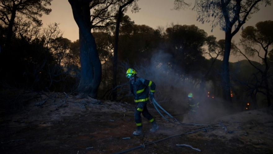 Cháy rừng nghiêm trọng ở Tây Ban Nha và Bồ Đào Nha