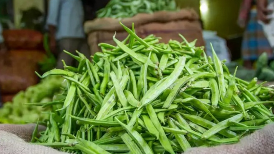 Loại rau kỳ diệu mang đến nhiều lợi ích cho sức khỏe