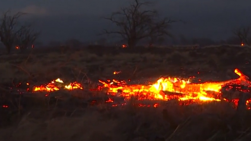 Cháy rừng ở Hawaii khiến nhiều người chết nhất trong vòng hơn 100 năm