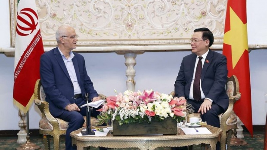 NA Chairman receives Iran-Vietnam Friendship Association President