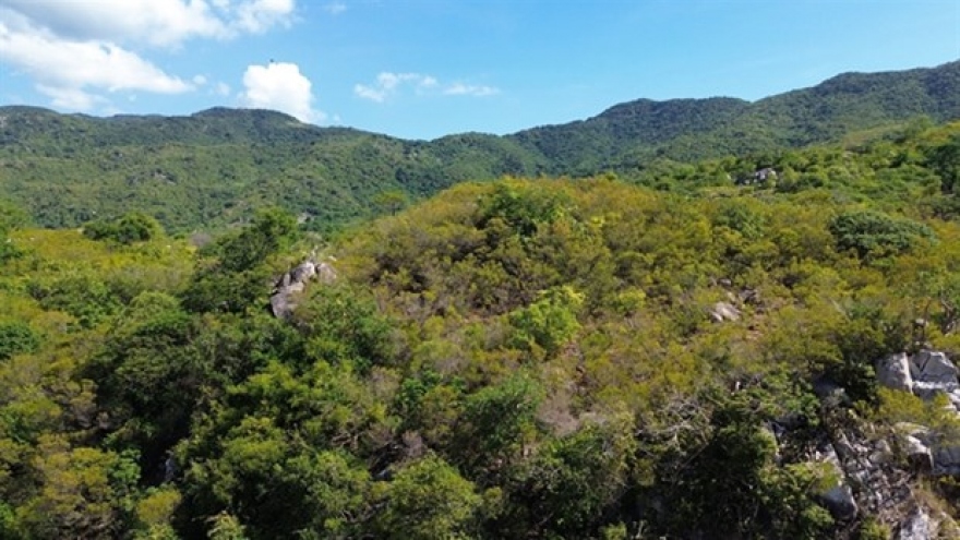 Diverse ecosystems turn Nui Chua World Biosphere Reserve into tourist attraction