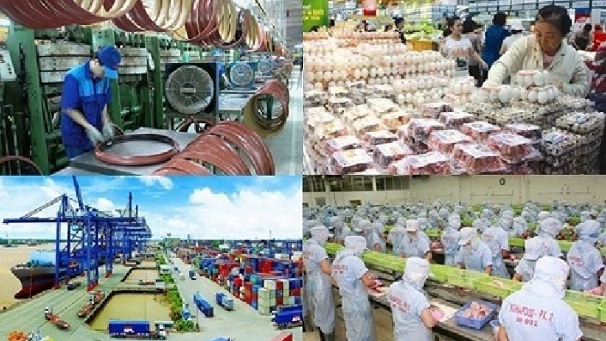 Positive signs anticipated for Vietnamese economy in H2