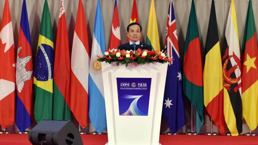Phó Thủ tướng Trần Lưu Quang dự Lễ Khai mạc Hội chợ Trung Quốc-Nam Á lần thứ 7