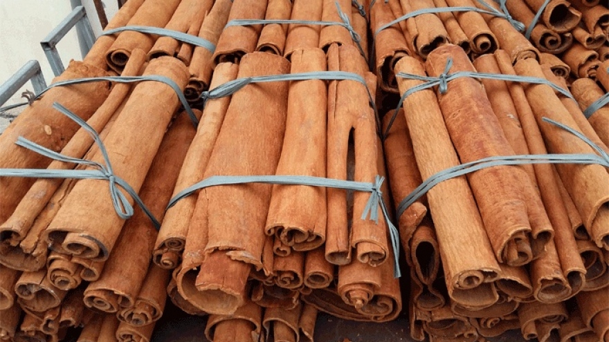 India, US, and Bangladesh remain largest Vietnamese cinnamon export markets