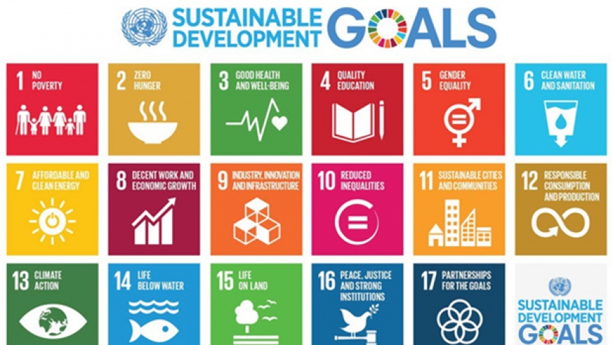 Vietnam’s report on SDG implementation announced