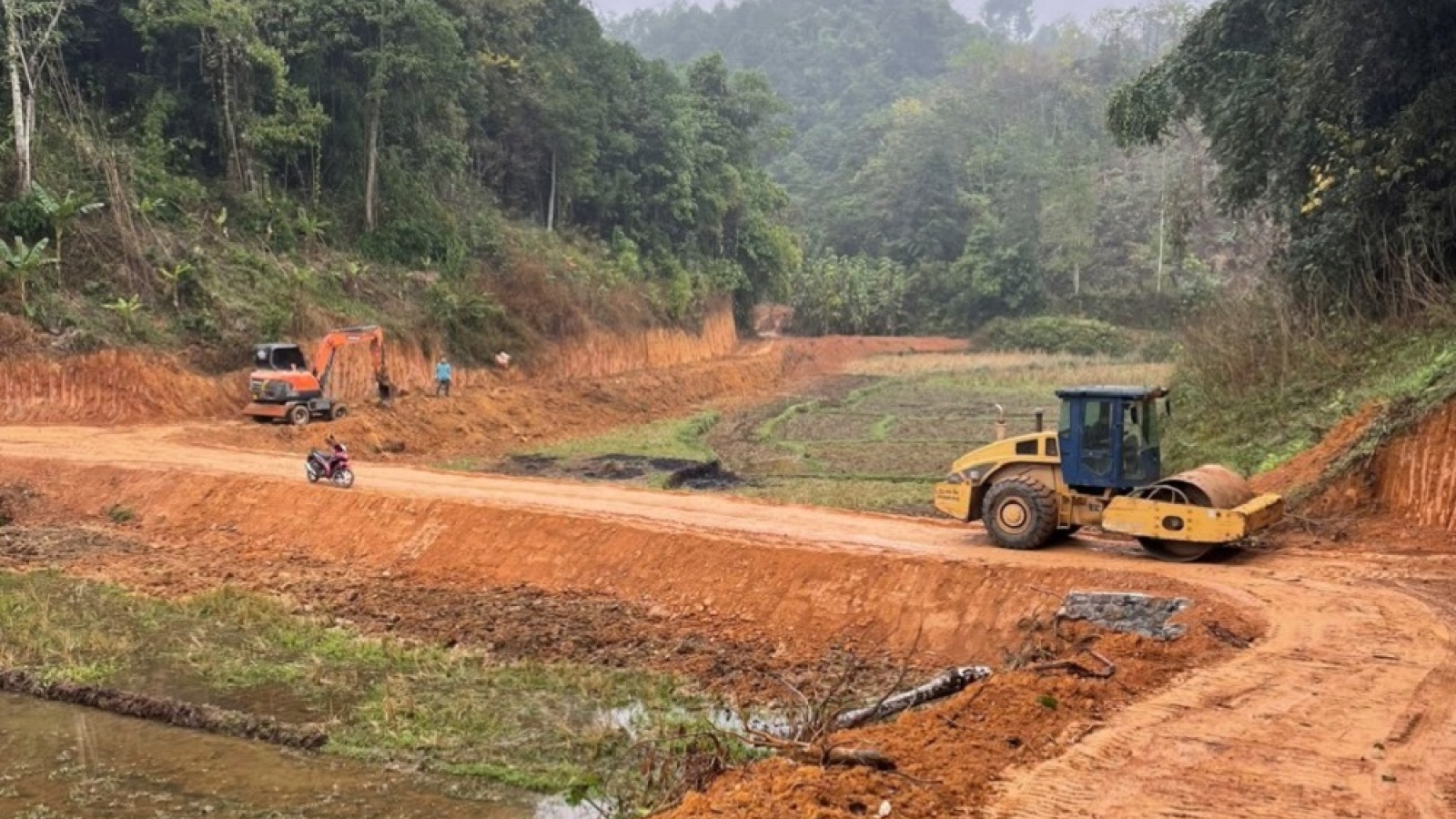 Bắc Kạn đầu tư hàng trăm km đường lâm nghiệp để phát triển kinh tế rừng