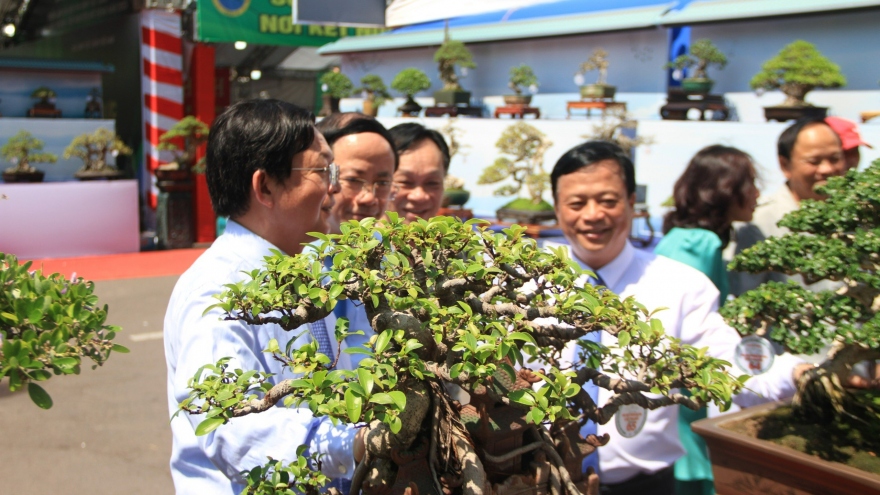 Khai mạc triển lãm và hội thi Sinh vật cảnh khu vực Miền Trung - Tây Nguyên