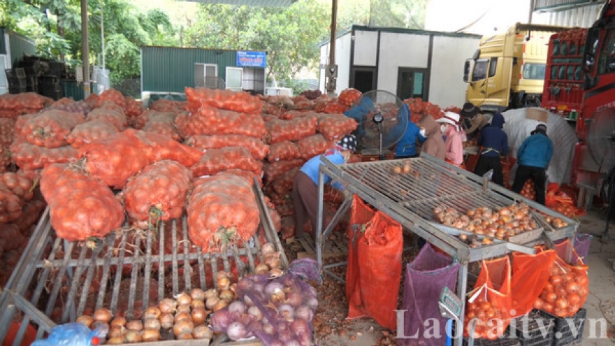 Nhộn nhịp chợ nông sản tại cửa khẩu Kim Thành (Lào Cai)