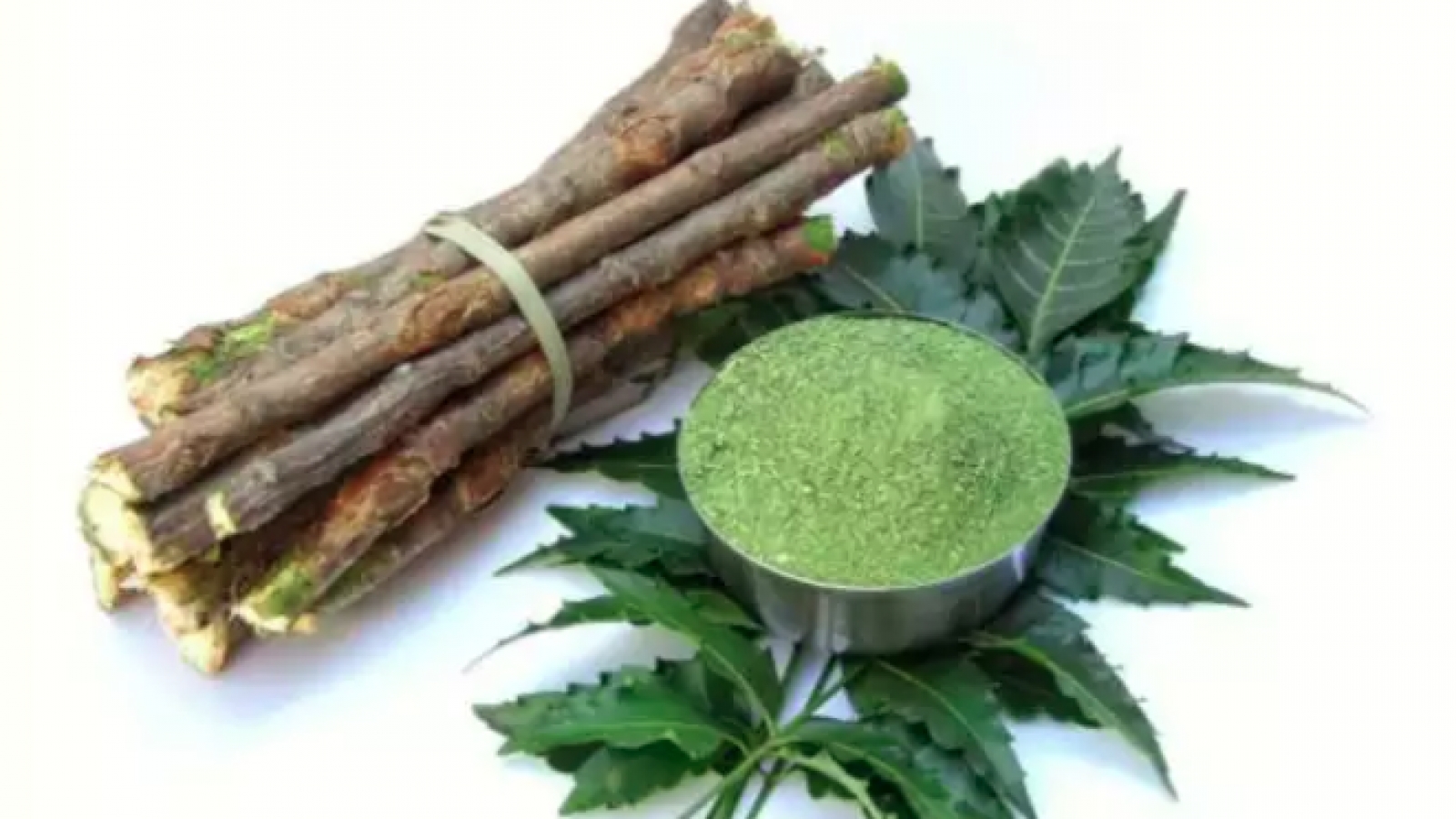 Lá Neem giúp kiểm soát lượng đường trong máu