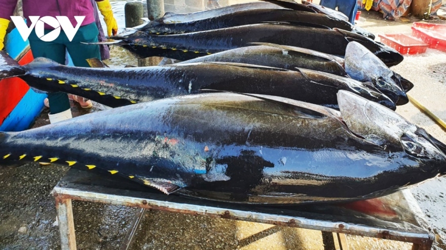 Vietnamese tuna exports to RoK post 2.5-fold increase