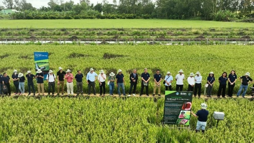 Southeast Asia’s first Bayer ForwardFarm launched in Vietnam