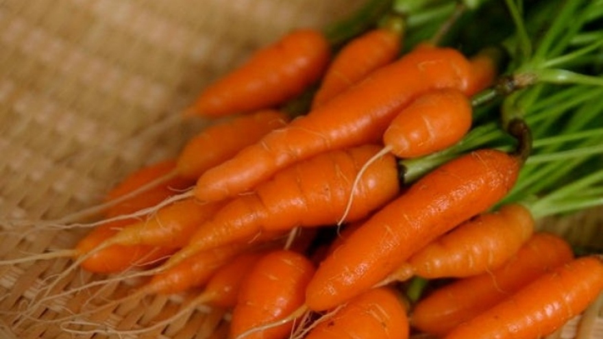 Cà rốt tí hon giá bán gấp 3 lần loại thường có gì đặc biệt?