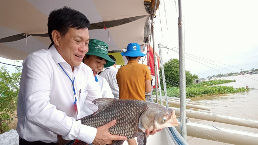 Thả hơn 1 triệu con cá xuống sông Hậu